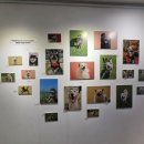 자주적관람 이미지