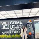 도그비앤비 이미지