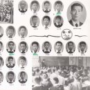 정흥배 Daum카페
