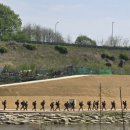 군바리와 대폿집 누나 이미지