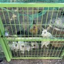 다감농원 이미지