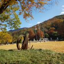 국립현대미술관 과천 야외 조각공원 이미지