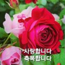 인사말 이미지 이미지