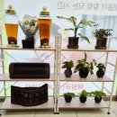 김제에스테틱 벨루스톤 힐링카페 꼼꼼한 관리 후기
