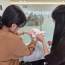 더베스트뷰 | [창원헤어학원][창원미용학원] 헤어국가자격증 수업 리얼후기! 베스트뷰티미용학원 헤어반 이야기💕