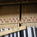 장유중학교 이미지