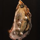 팀온짐(TEAM ON GYM) | I deserve more Pulp, Charli xcx, Smashing Pumpkins, Oasis, Miku and Redvelvet IRENE&amp;SEULGI