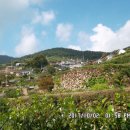 가천목장 이미지