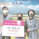 강진4호 이미지