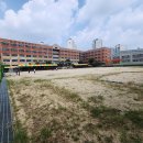 은행초등학교 | 일산 은행초등학교 잡초정리 후기