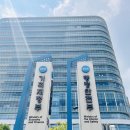 중앙동323 이미지