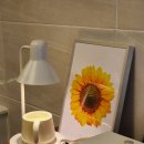 맑음 | 포천 피부관리·바디관리 잘하는 송우리피부샵 오늘도맑음 솔직후기