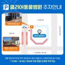 클리어동물병원 이미지