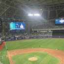 대한안경원 이미지