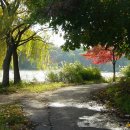 오크랜드 이미지