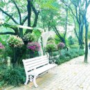 대공원나들길 이미지