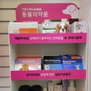 청담와이약국 이미지