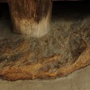 신라 속의 조선 ㅡ 4. 양동마을 안락정 이미지