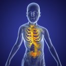 제이탑정형외과의원 이미지