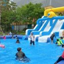 다정푸드 이미지