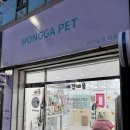 몽가펫 | 경산애견미용 서비스가 좋은 몽가펫