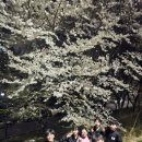 죽림어린이집 이미지