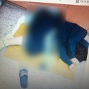지혜롭다 | [14] 각성한 땅꼬마🐲 인사드립니다