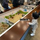 하이애니멀샵 이미지