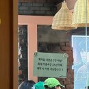 쇼핑을그리다 | 동대문 카페 '정그리다' | 도심 속 휴양지 정글 컨셉 카페 방문 후기