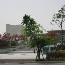 시민뒷고기 이미지