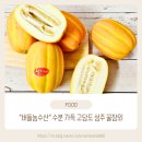 버들농장 | 버들농수산 아삭아삭 맛 좋은 고당도 성주 꿀참외 후기