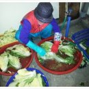 지후네 농장 이미지