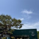 은채네김밥 | [마이 애니멀 스토리 in 평강 랜드] 동물원이 아니라 하루 나들이 코스로 즐겨야 할 곳