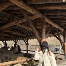 동환목장 이미지