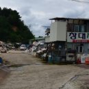 창대사료 이미지