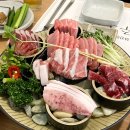 화정동주노애참치