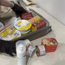 937 | [신혼여행01] 대한항공 인천에서 오스트리아 비엔나 직항 KE937 후기(좌석 넓이, 기내식)