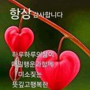 여름향기 Daum카페