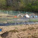 대덕농장 이미지