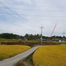 춘포면-14 이미지
