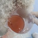 창현동물병원 이미지