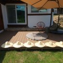 호미들고스테이 이미지