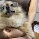 센텀신세계치과의원 이미지