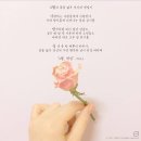 로일