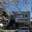 대청로 | 대전 한식 맛집 공주쌍신집칼국수 대청댐점 웨이팅 후기! 칼국수 보쌈 추천