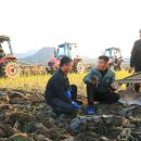 기풍농장 이미지