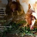 소원농장 이미지