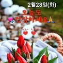 2월28일 화요일*간추린 뉴스 이미지