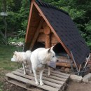 하늘내린강산 이미지