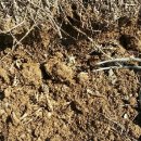 임실반디울농장 이미지